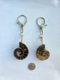 Chic Ammonite Keychains