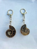 Chic Ammonite Keychains